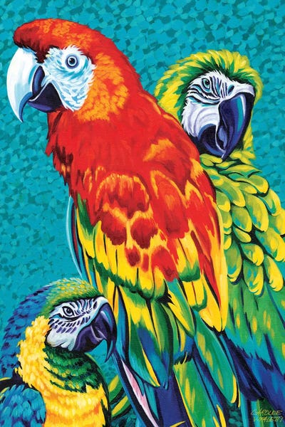 Parrots: Birds In Paradise III by Carolee Vitaletti