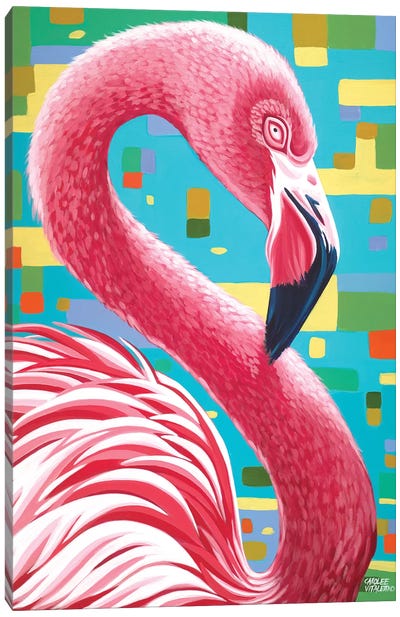 Fabulous Flamingos I Canvas Art Print - Carolee Vitaletti