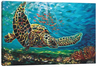 Deep Sea Swimming I Canvas Art Print - Reptile & Amphibian Art