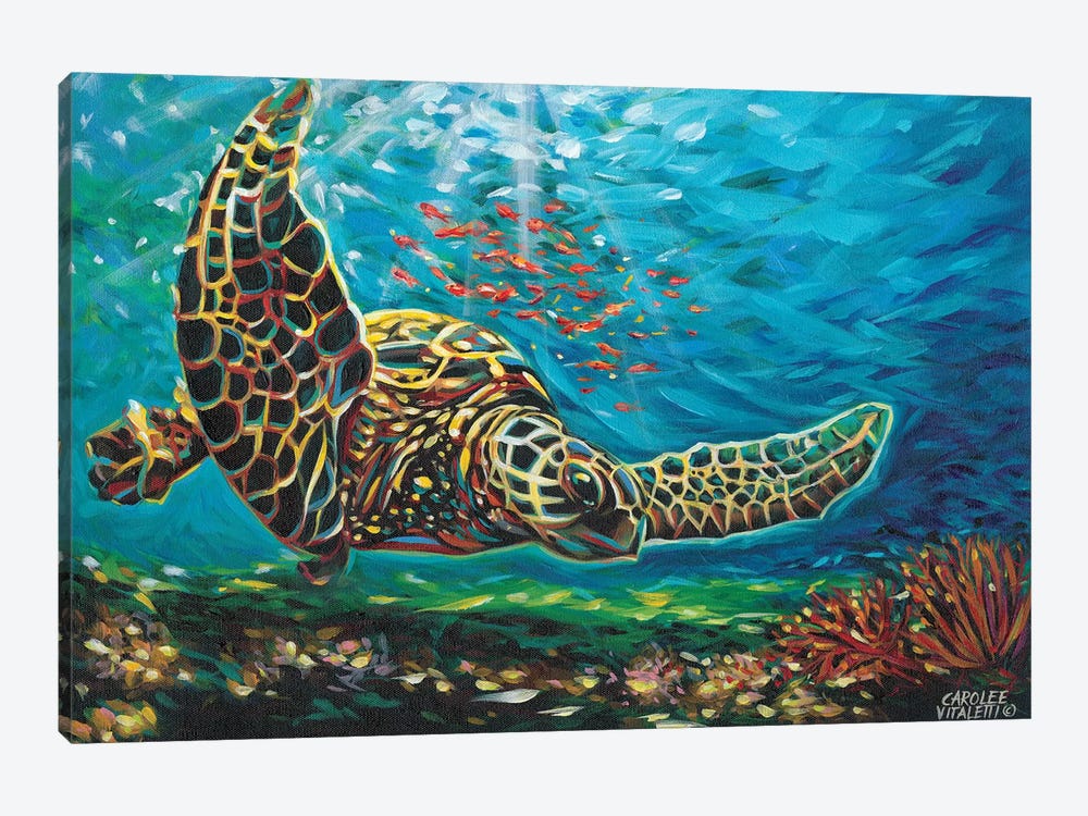 Deep Sea Swimming I by Carolee Vitaletti 1-piece Canvas Print