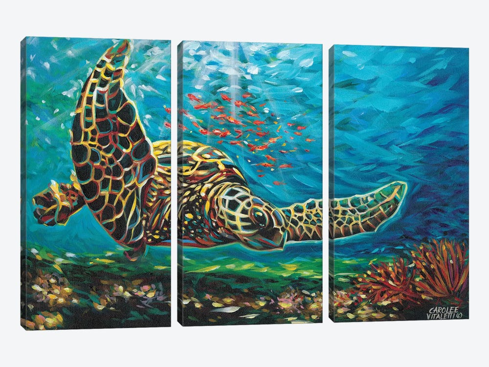 Deep Sea Swimming I by Carolee Vitaletti 3-piece Canvas Print