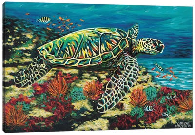 Deep Sea Swimming II Canvas Art Print - Reptile & Amphibian Art