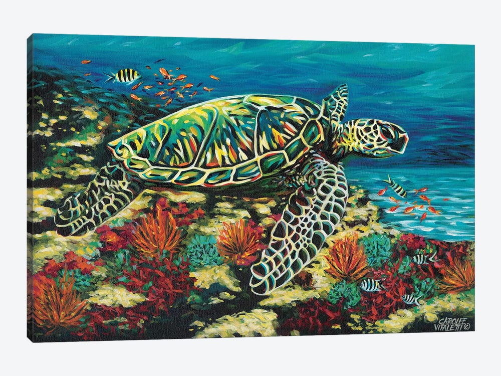 Deep Sea Swimming II by Carolee Vitaletti 1-piece Canvas Wall Art