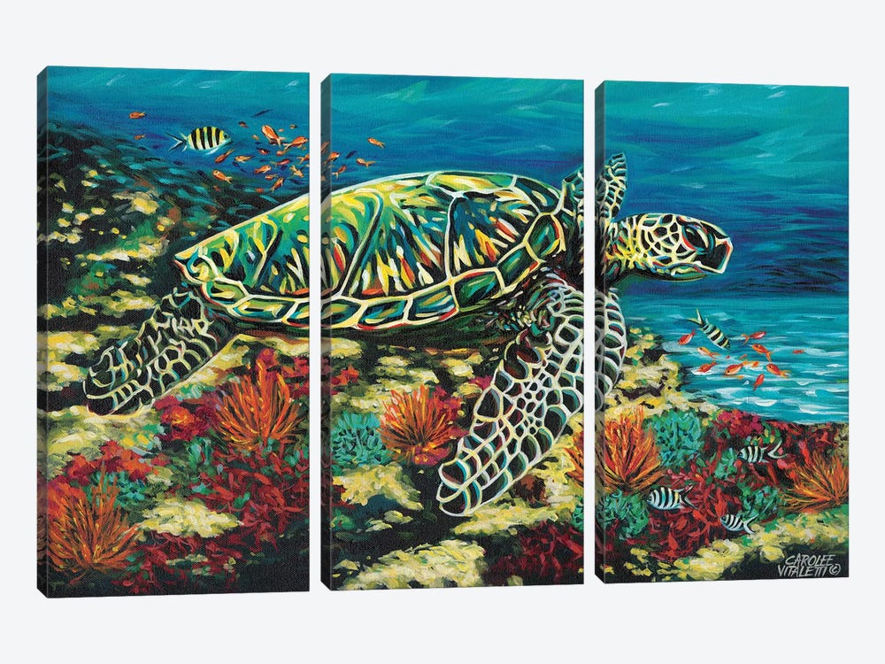 Deep Sea Swimming II by Carolee Vitaletti 3-piece Canvas Art
