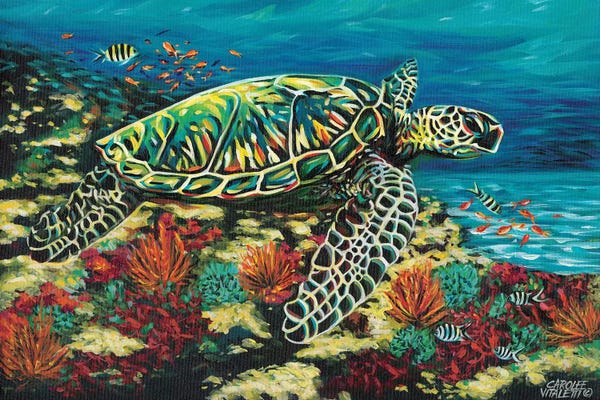 Turtles: Deep Sea Swimming II by Carolee Vitaletti