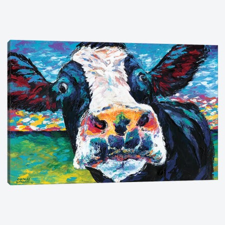 Curious Cow II Canvas Print #VIT2} by Carolee Vitaletti Canvas Art