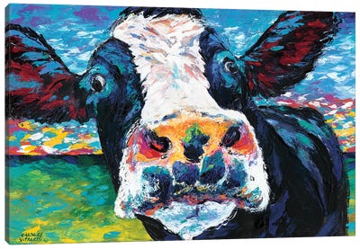 Curious Cow II Canvas Art Print - Best Selling Animal Art