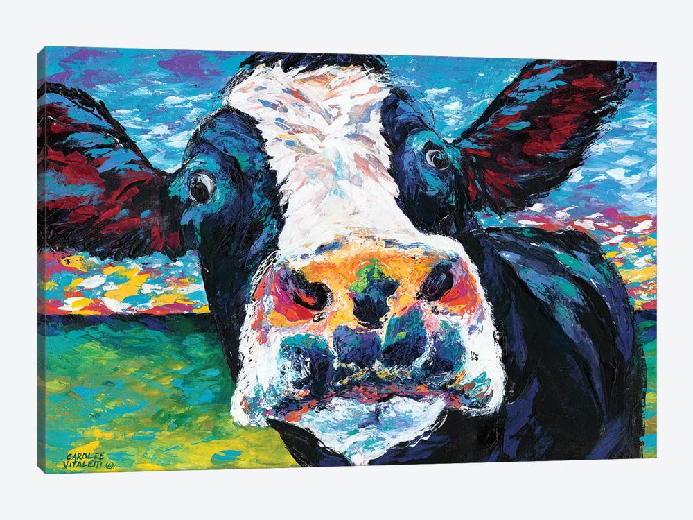 Curious Cow II by Carolee Vitaletti 1-piece Canvas Print