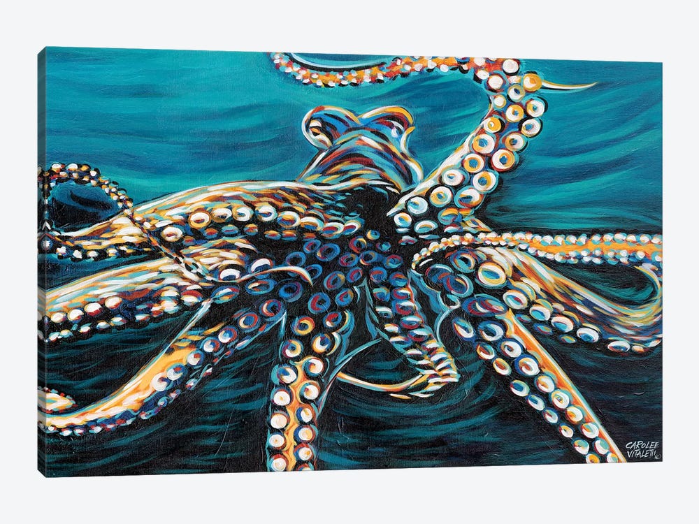 Wild Octopus II by Carolee Vitaletti 1-piece Canvas Wall Art