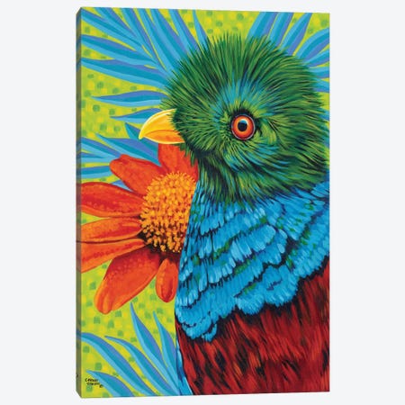 Bird In The Tropics II Canvas Print #VIT42} by Carolee Vitaletti Art Print