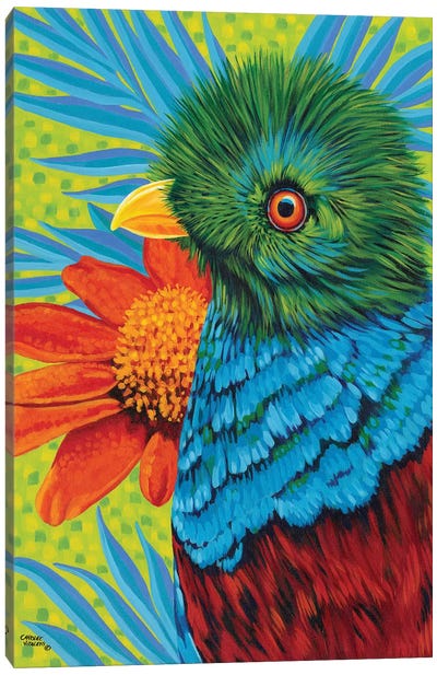 Bird In The Tropics II Canvas Art Print - Carolee Vitaletti