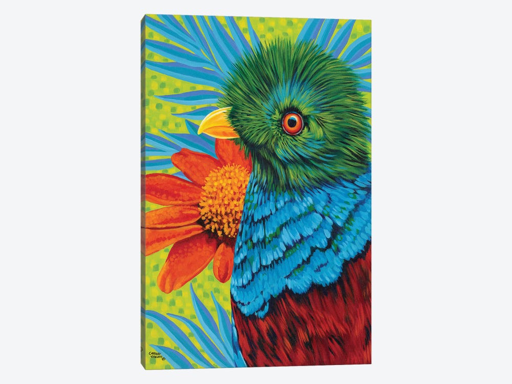 Bird In The Tropics II by Carolee Vitaletti 1-piece Canvas Art