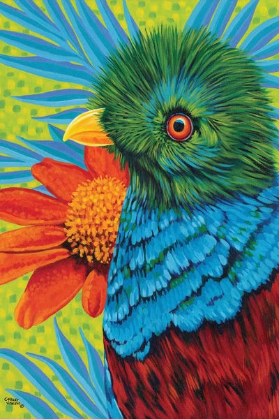 Bird In The Tropics II