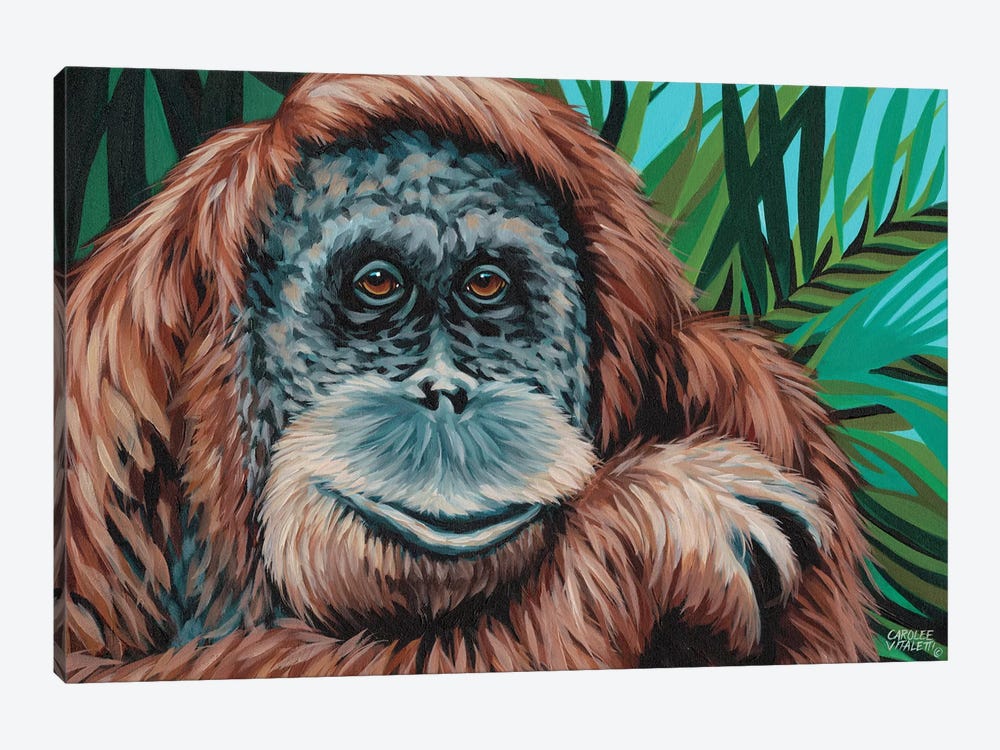 Jungle Monkey I by Carolee Vitaletti 1-piece Canvas Art Print