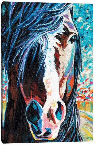 Wild At Heart I Canvas Art Print - Horse Art