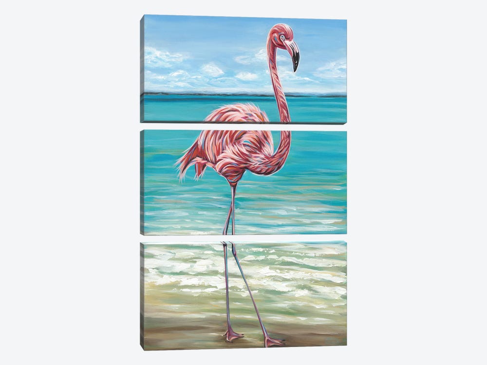 Beach Walker Flamingo I by Carolee Vitaletti 3-piece Canvas Art