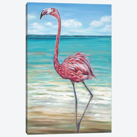 Beach Walker Flamingo II Canvas Print #VIT56} by Carolee Vitaletti Canvas Print