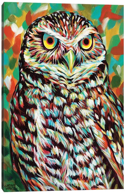 Fury Feather Friends II Canvas Art Print - Owl Art