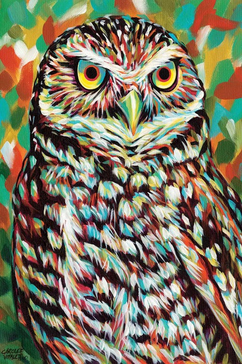 Fury Feather Friends II by Carolee Vitaletti wall art