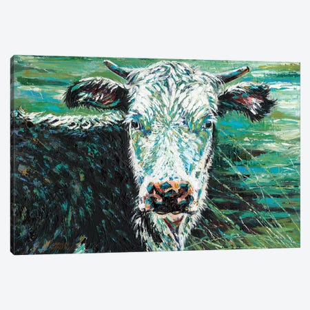 Marshland Cow I Canvas Print #VIT64} by Carolee Vitaletti Canvas Art