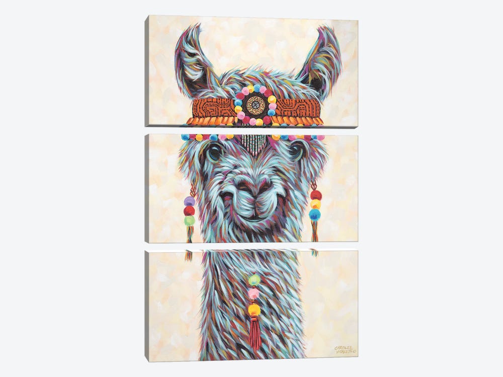 Hippie Llama I by Carolee Vitaletti 3-piece Canvas Print