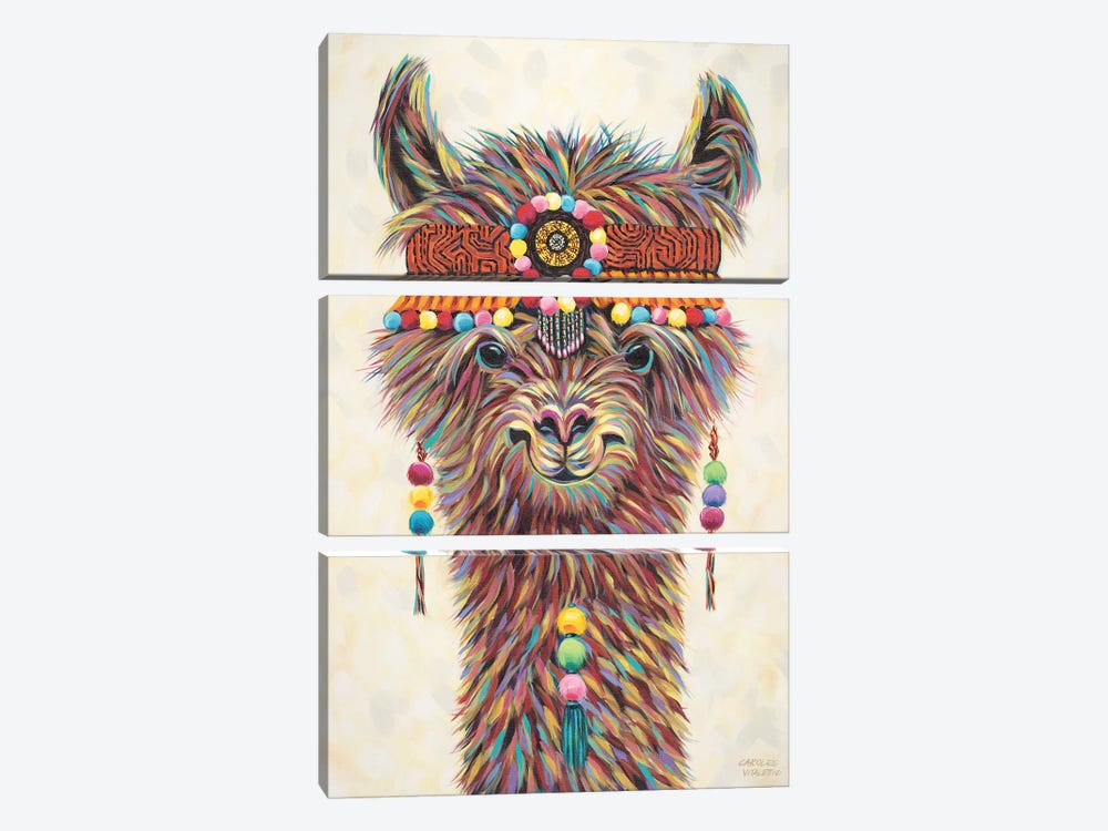 Hippie Llama II by Carolee Vitaletti 3-piece Canvas Art