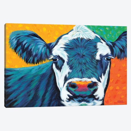Colorful Country Cows I Canvas Print #VIT74} by Carolee Vitaletti Canvas Art Print