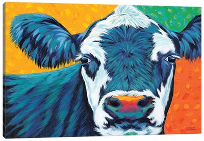 Colorful Country Cows I Canvas Art Print - Carolee Vitaletti