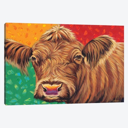 Colorful Country Cows II Canvas Print #VIT75} by Carolee Vitaletti Canvas Print