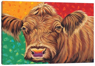 Colorful Country Cows II Canvas Art Print - Carolee Vitaletti
