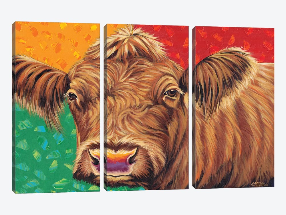 Colorful Country Cows II by Carolee Vitaletti 3-piece Canvas Art