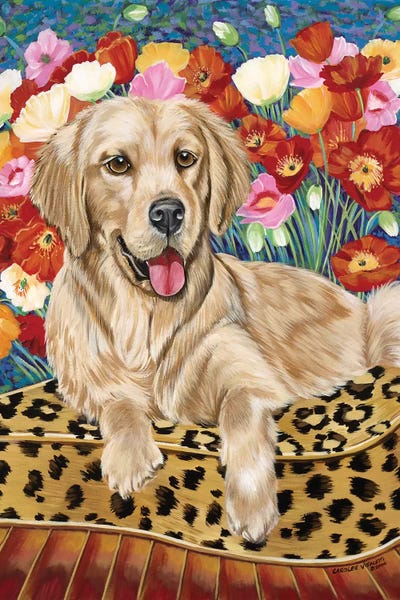 Golden Retrievers: Golden Boy Retriever by Carolee Vitaletti