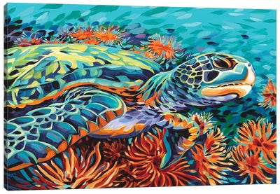 Sea Sweetheart I Canvas Art Print - Turtle Art