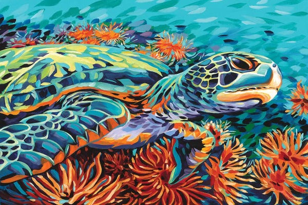 Turtles: Sea Sweetheart I by Carolee Vitaletti