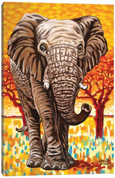 Wild Africa I Canvas Art Print - Carolee Vitaletti