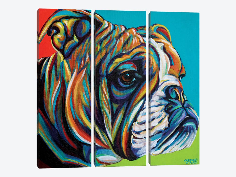 Dog Friend I by Carolee Vitaletti 3-piece Canvas Art Print