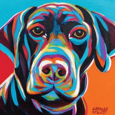 Dog Friend II by Carolee Vitaletti framed wall art