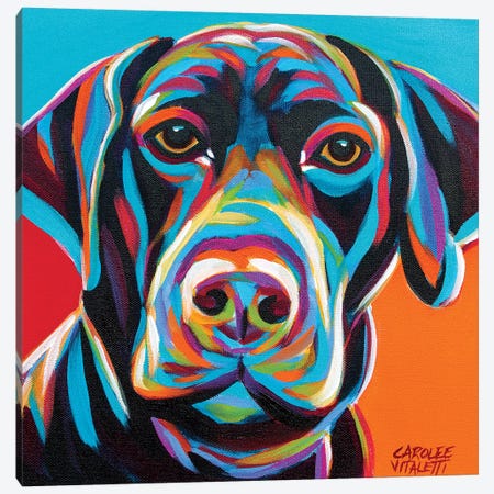 Dog Friend II Canvas Print #VIT97} by Carolee Vitaletti Art Print