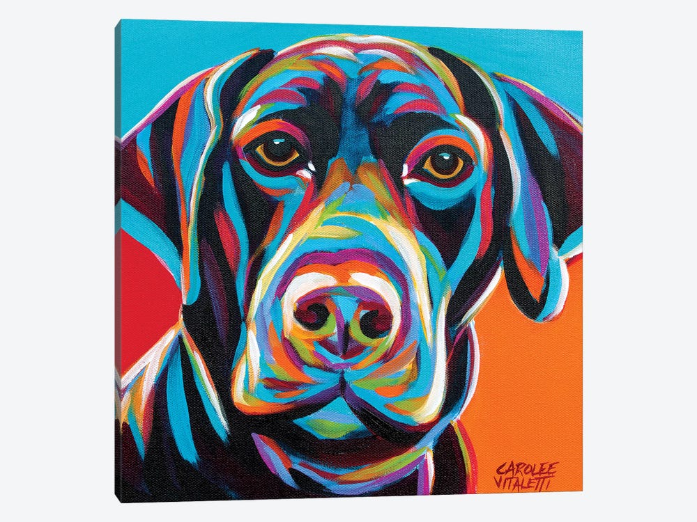 Dog Friend II by Carolee Vitaletti 1-piece Canvas Wall Art