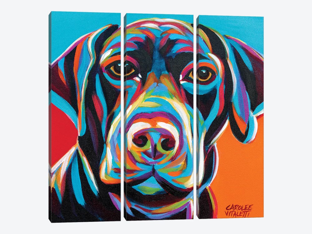 Dog Friend II by Carolee Vitaletti 3-piece Canvas Artwork
