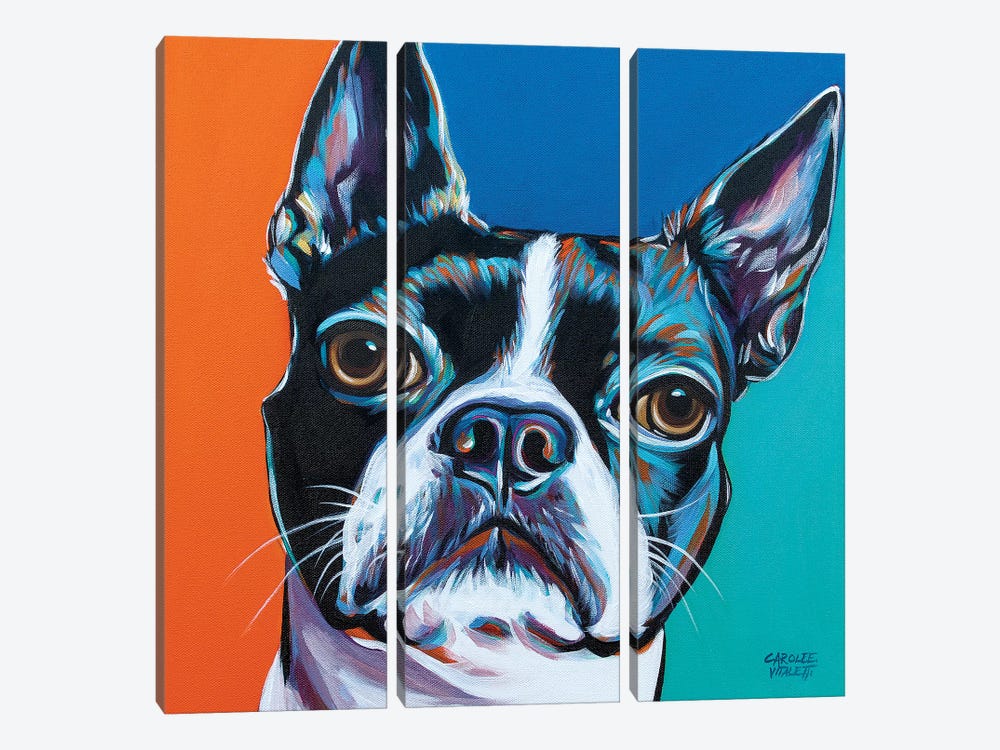 Dog Friend III by Carolee Vitaletti 3-piece Canvas Art Print
