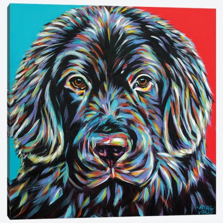 Canine Buddy I Canvas Print #VIT99} by Carolee Vitaletti Canvas Artwork