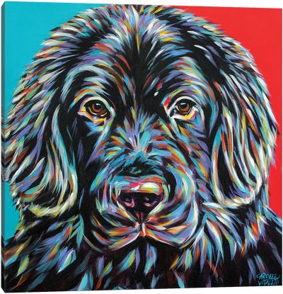 Canine Buddy I Canvas Art Print - Carolee Vitaletti