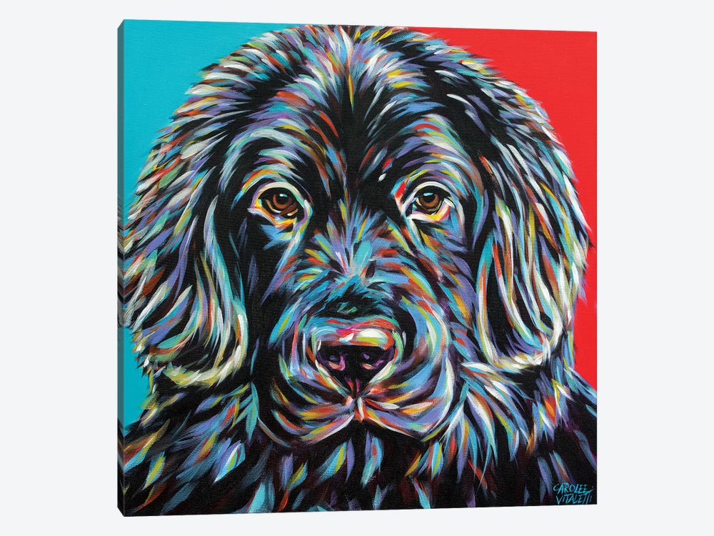 Canine Buddy I by Carolee Vitaletti 1-piece Canvas Artwork