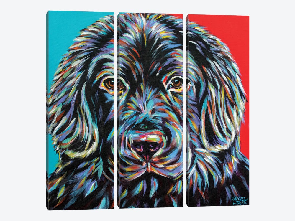 Canine Buddy I by Carolee Vitaletti 3-piece Canvas Artwork