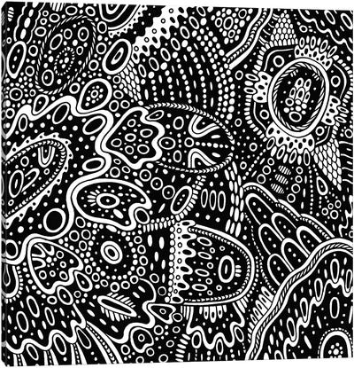 Surreal Lines Canvas Art Print - Black & White Patterns