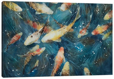 Koi Fish I Canvas Art Print - Koi Fish Art