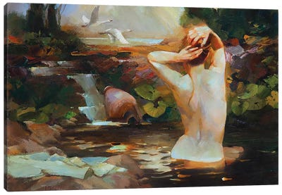 Swan Lake Canvas Art Print - Vasyl Khodakivskyi