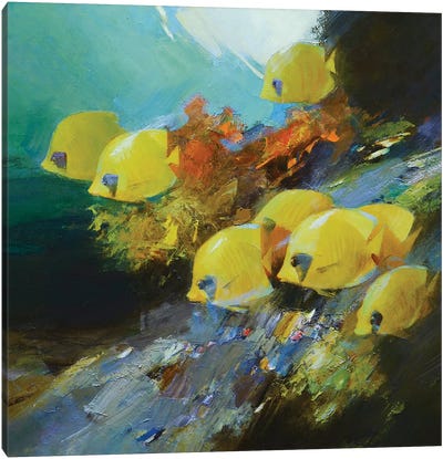 Among The Corals Canvas Art Print - Vasyl Khodakivskyi