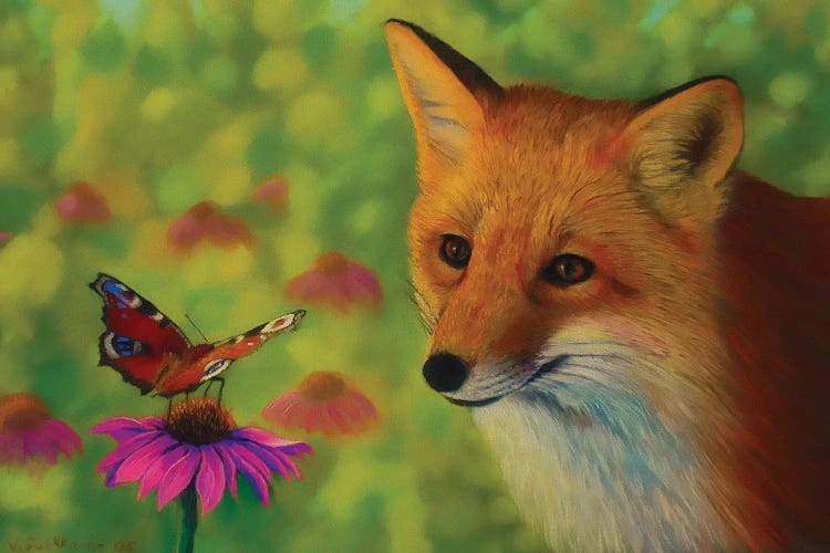 Fox And Butterfly